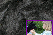 Baby Alpaca Cria Roving for Spinners, Low Micron, Natural Black