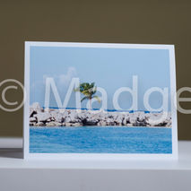 All alone palm tree  greeting card...perfect  card blank