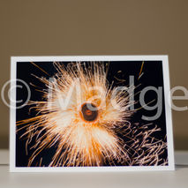 explosion firework photo card, stunning-unique and different, pe