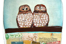 Two Spotted Owls