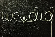 READY TO SHIP 'We Did' Wire Cake Topper