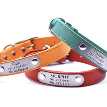 Leather Dog Collar with Personalized Nameplate - 20 Colors