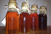 8 oz Sacramento Valley Honey in Muth Jars