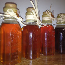 8 oz Sacramento Valley Honey in Muth Jars