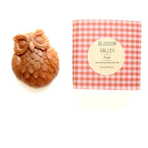 Cranberry & French pink clay Owl Soap