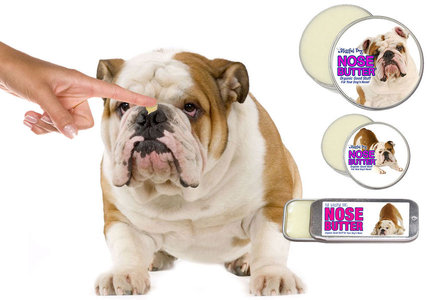 Nose Butter for Rough, Dry Dog Noses – Omorog Raw Pet Food