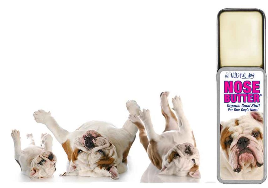 https://www.pinklion.com/paperclip/product_images/000/027/287/large/Bulldog_longslider_3.jpg