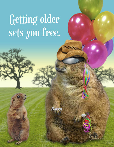 Funny Prairie Dog Birthday Card: Aging Sets You Free - Shaboo Prints ...