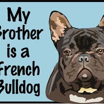 French Bulldog Black