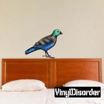 Bird Wall Decal - Vinyl Car Sticker - Uscolor023