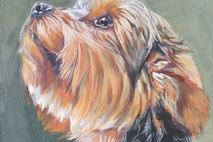 Yorkshire Terrier yorkie portrait CANVAS print 12x16" dog art