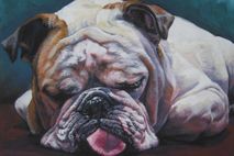 English Bulldog portrait canvas print of painting 11x14"