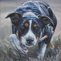 Border Collie Dog 12x16" CANVAS print of painting