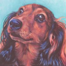 Dachshund dog portrait 8x10" CANVAS print of painting