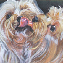Yorkshire Terrier yorkie kiss 8x10" CANVAS print dog art