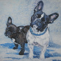 frenchie French Bulldog 8x8 art CANVAS print of painting