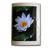 Water Lily Puzzle, Water Lily Jigsaw, Floral Jigsaw Puzzle