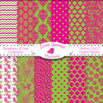 Strawberry and Lime Collection Set of 12 Digital Papers