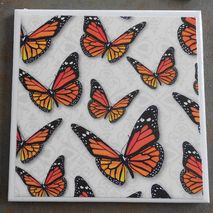 Butterfly Coasters - Set of Four