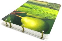 Green Pear Notebook