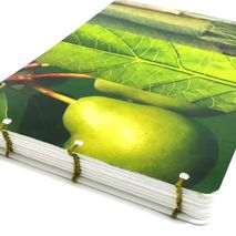 Green Pear Notebook