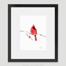 Red Cardinal Watercolour Print