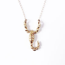 Small Scorpion Necklace Brass