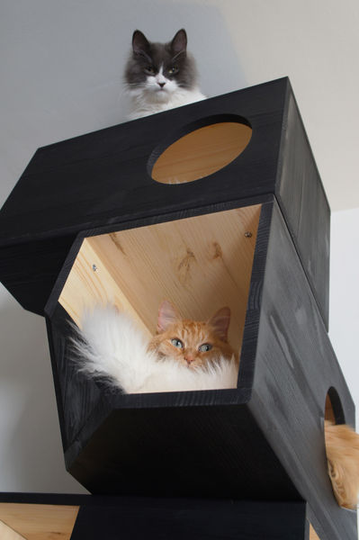 Catissa top cat tree