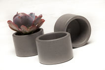 Concrete Planter Set - 3 ea. in Graphite (dark grey)